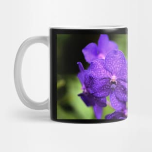 Purple flowers Mug